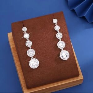 Elegant Silver Drop Earrings